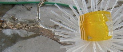 003.JPG (221.37 KiB) Viewed 15597 times Square egg.