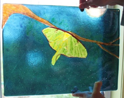 luna moth fire1.JPG