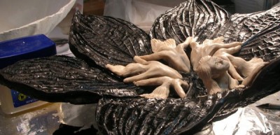 hostafigures.jpg (58.29 KiB) Viewed 48721 times hostafigures.jpg