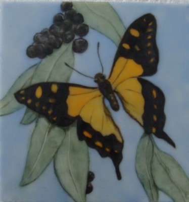 Butterfly3.jpg