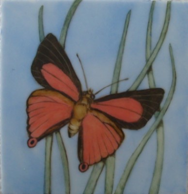 Butterfly 1.jpg