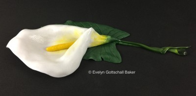 Final Calla Lily-2.jpg