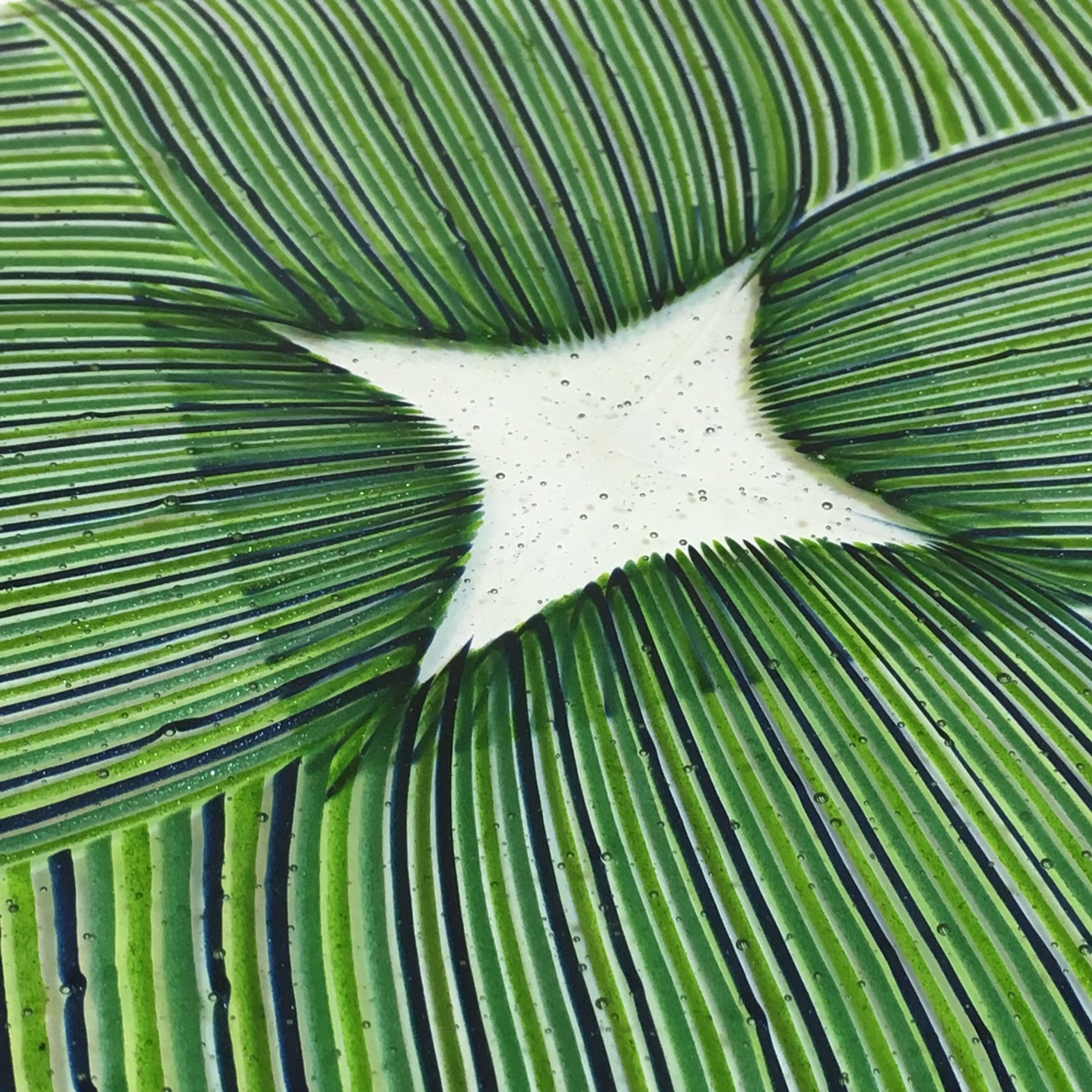 Free and open-source software visual data 3